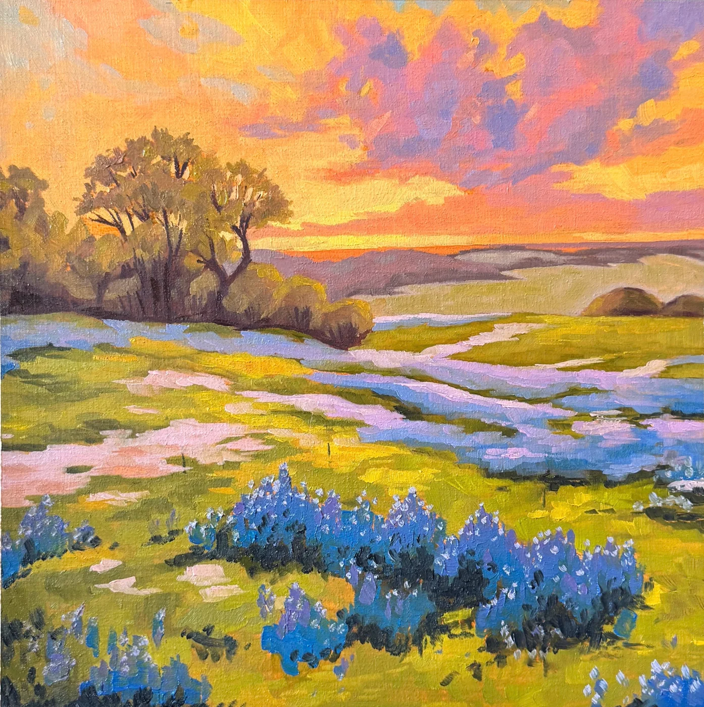 Bluebonnets